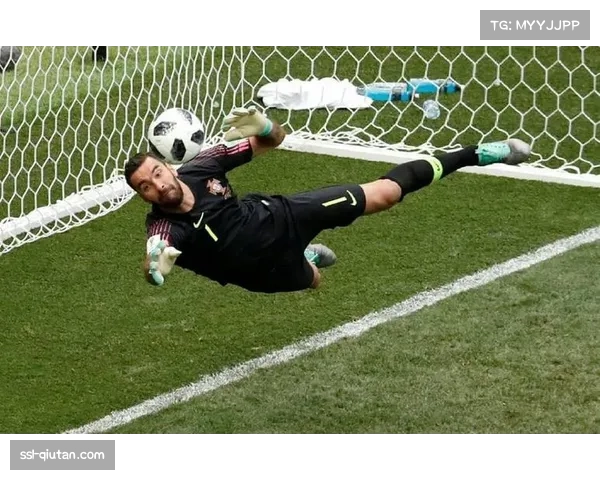 葡萄牙门将帕特里西奥训练中肩部脱臼